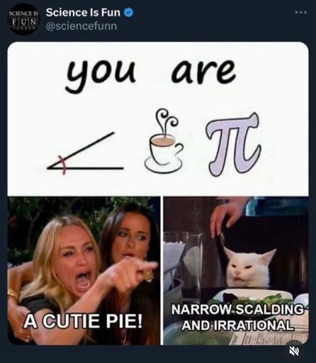 A meme from 'Science Is Fun'. The top section has text reading 'you are' followed by three symbols: an acute angle, a steaming cup of tea, and the mathematical symbol for pi. Below, the classic 'Woman Yelling at a Cat' meme is used. The woman is labeled 'A CUTIE PIE!' while the cat is labeled 'NARROW, SCALDING, AND IRRATIONAL,'