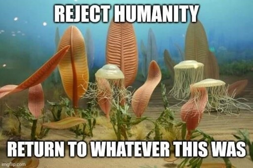 embrace ediacaran extinguish